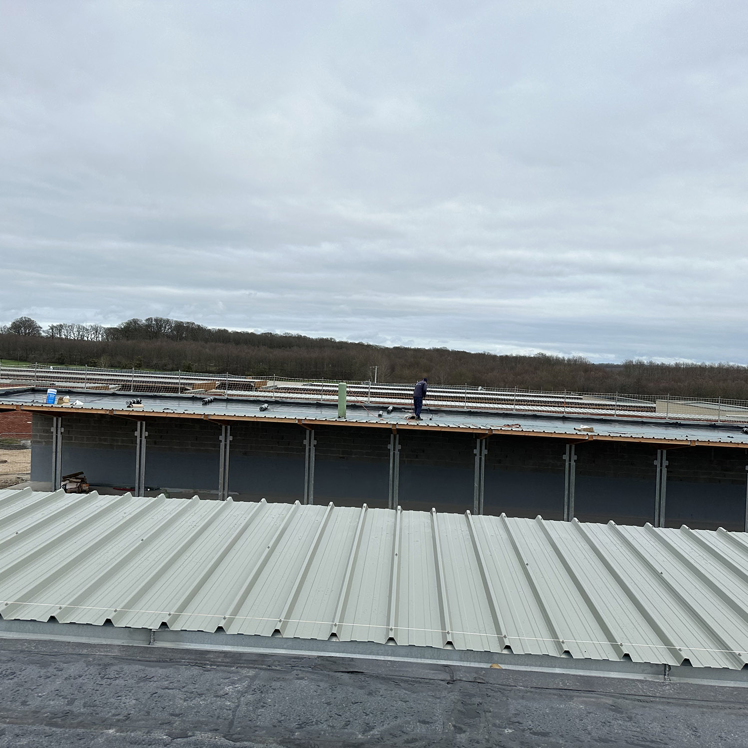 haras 4