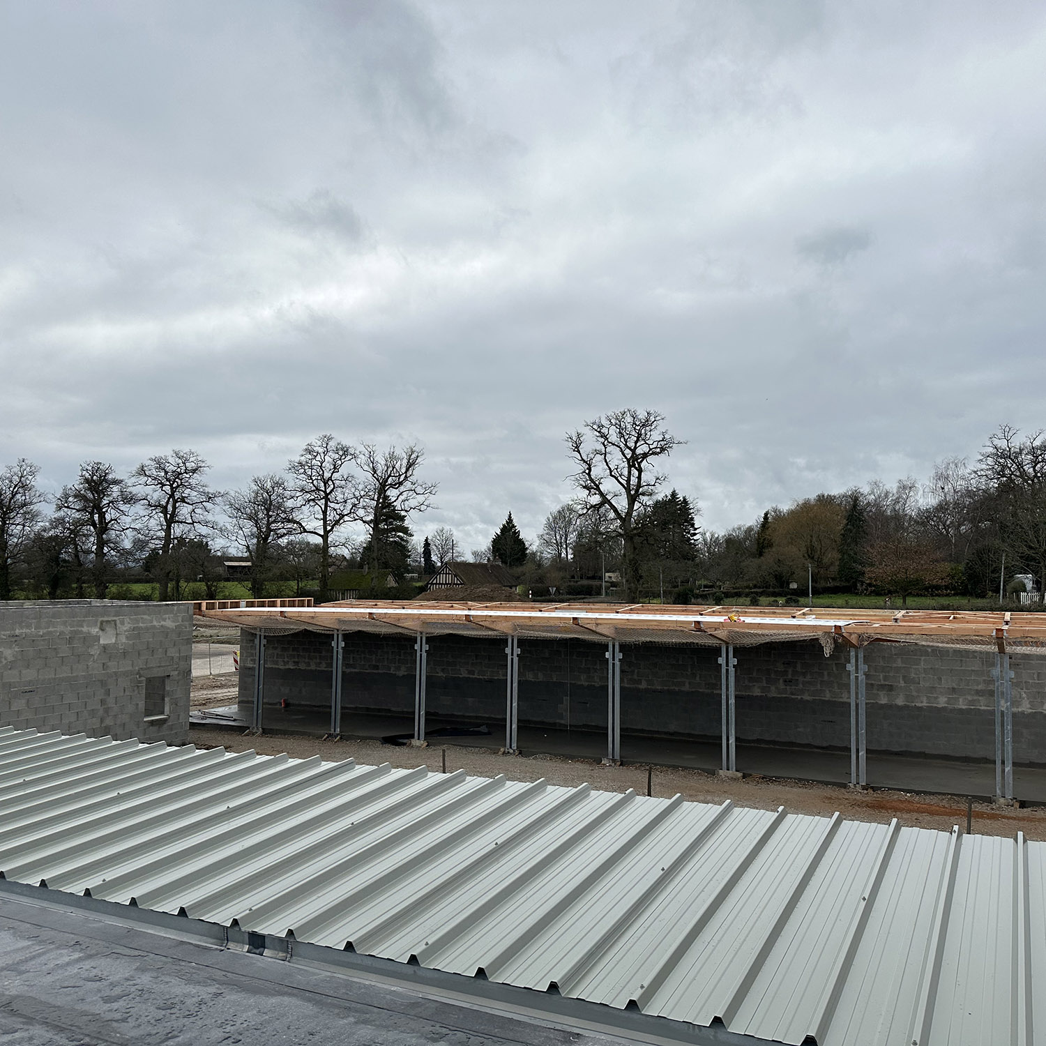 haras 6
